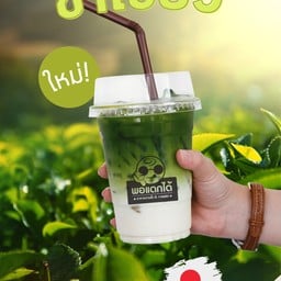 Green Tea Fresh Milk
