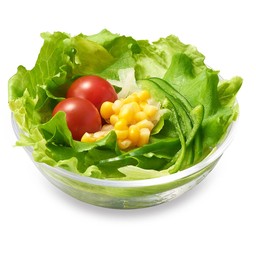 มอส สลัด