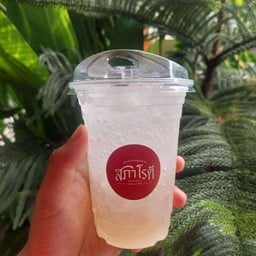 สภาโรตี อุทัยธานี