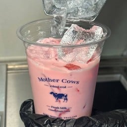 Mother.cows  เมืองทอง