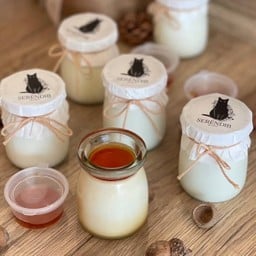 Milk Pudding  (no egg 🥚)