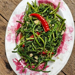 กะเฉดไฟแดง