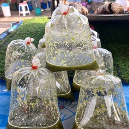 น้ำจิ้มซีฟูด