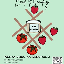 Kenya embu aa karurumo washed