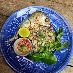 ข้าวแมว me-o