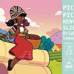 Kenya Gichuka washed - drip bag