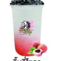 ติดนม อมมุก สาขาแสนภูดาษ