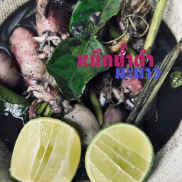 หมึกน้ำดำมะนาว กระบี่