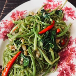 ผักบุ้งฝอยไฟแดง