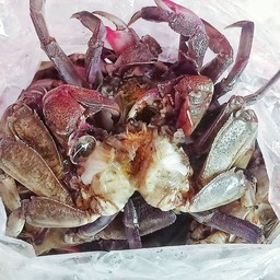 ปูดำ ตัวละ