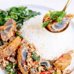 ข้าวกะเพราไข่เยี่ยวม้า