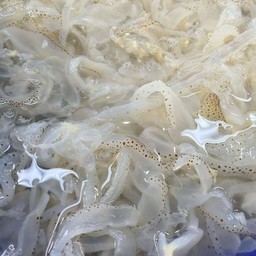 กระพรุนเวียดนาม