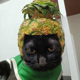 ทิปเด็กเสิร์ฟ