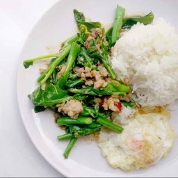 ผัดคะน้าปลาเค็มราดข้าว