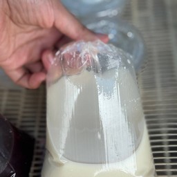 น้ำเต้าหู้