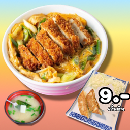 [Pro] rice Bowl Hitz