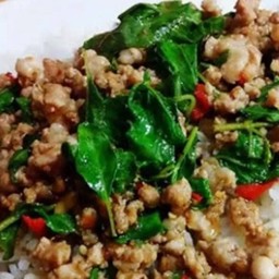 กะเพราหมูสับ (กับข้าว)