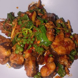 ผัดเผ็ดปลาไหลราดข้าว