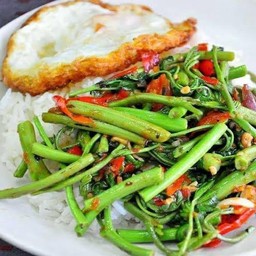 ผัดผักกระเฉดราดข้าว