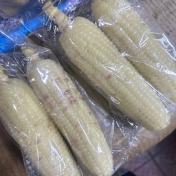 ข้าวโพดต้ม