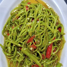 ผักบุ้งฝอยไฟแดง