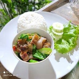 ข้าวราด คะน้าหมูกรอบ