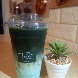 ชาเขียวมิ้น