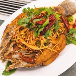 ปลากะพงลุยสวน(ตัว)