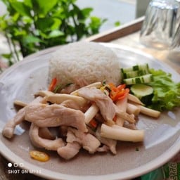 ข้าวราด ผัดพริกขี้หนูสวน