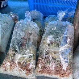 ข้าวยำน้ำเคย