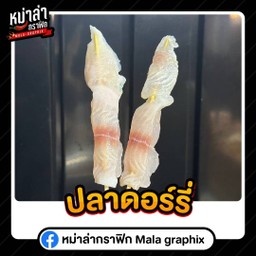 เนื้อปลาดอร์รี่