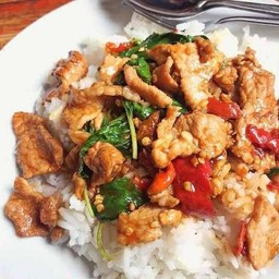 กระเพราหมูชิ้น