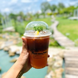 พีทเปรสโซ่