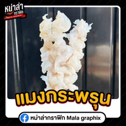 แมงกระพรุน