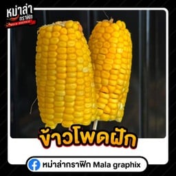 ข้าวโพดฝักหั่นชิ้น
