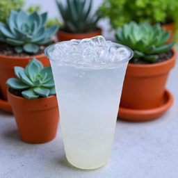 ลิ้นจี่โซดา