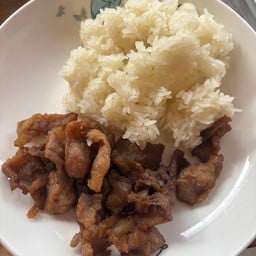 หมูพวกแดดเดียว