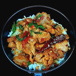 ข้าวกะเพราหมูสันคอสไลด์: