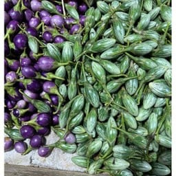 ฟู่ไฉ'ของชำ Fu zi