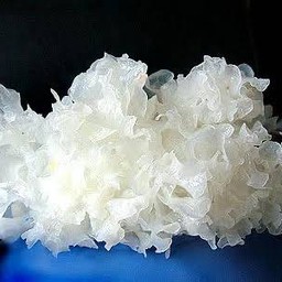 เห็ดหูหนูขาว