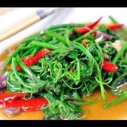 ผัดยอดมะระ