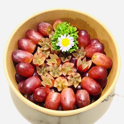 องุ่นคิมสันออสเตรเลีย