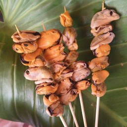 หอยแมงภู่