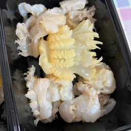 แมงกะพรุนหัวกระสุนอิ๊ว