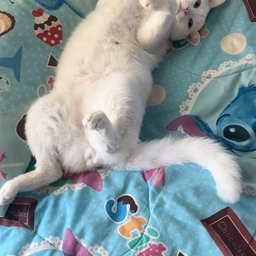 หนุ่มหล่อประจำร้าน