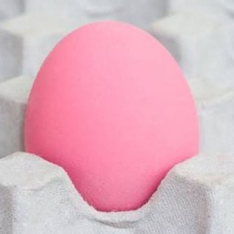 ไข่เยี่ยวม้าเป็นฟอง 1 ฟอง (ไม่ได้ทอดครับ)