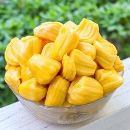 ขนุนสุกหวานกรอบ