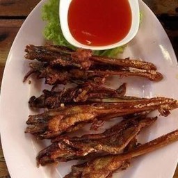 ปากเป็ดย่าง