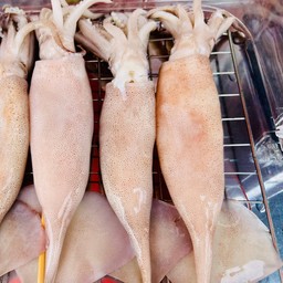 อาเจนตัวเล็ก