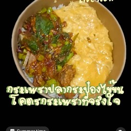 ข้าวผัดกระเพราปลากระป๋องไข่ข้น